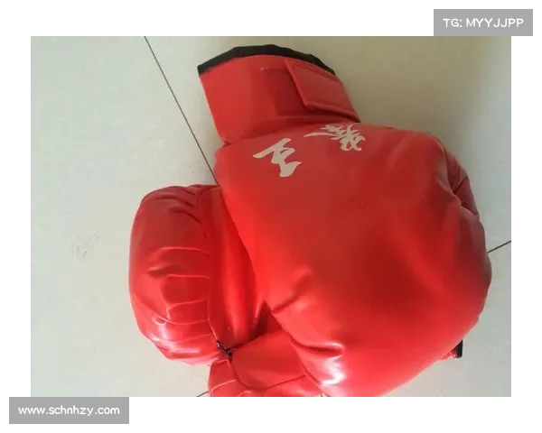 搏击运动新规出台 12岁以下选手强制佩戴猴脸护头与10盎司拳套保障安全